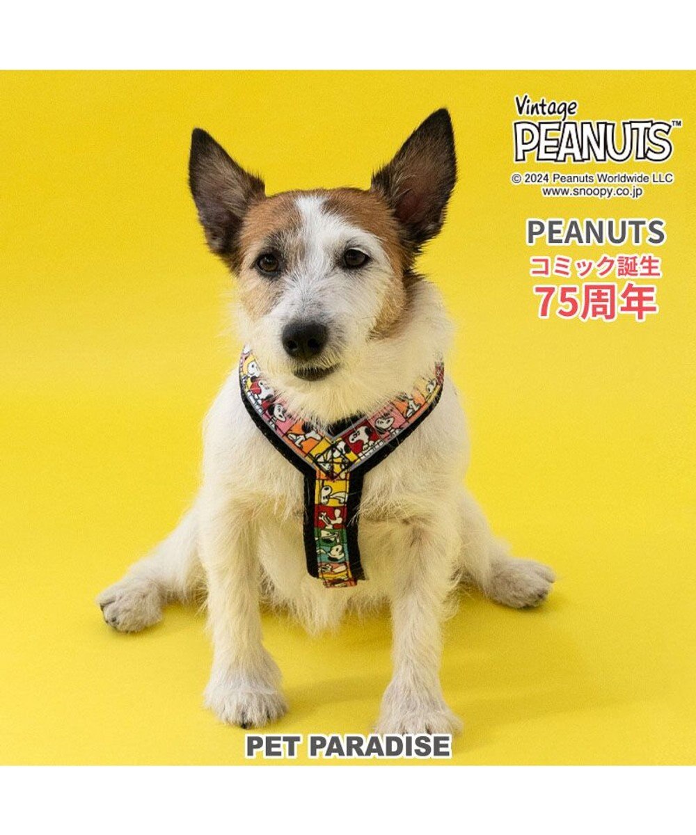 PET PARADISE スヌーピー 75周年 アクティブ ハーネス 小型犬 ３S 75周年柄