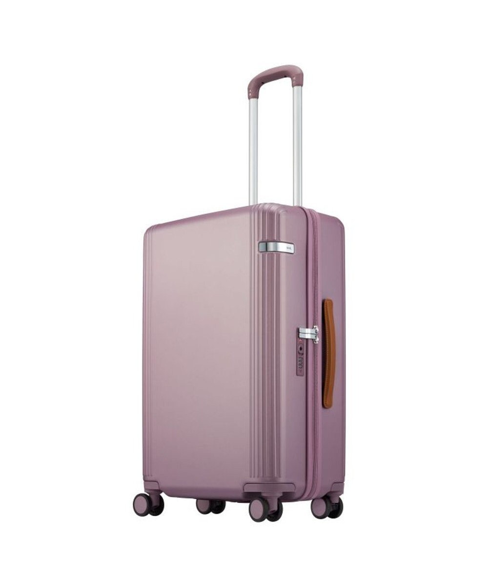 定価 ハント スーツケース マイン ストッパー付き 48cm 33L 05745 機内持ち込み可 48 cm 2.7kg アネモネレッド 
