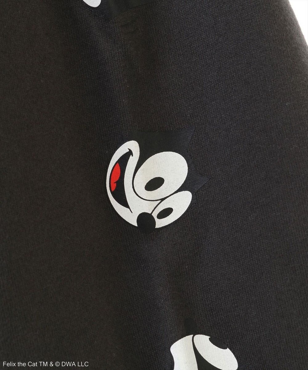 Green Parks ■ＦＥＬＩＸ　袖フェイスｐｔ　ロンＴＥＥ 