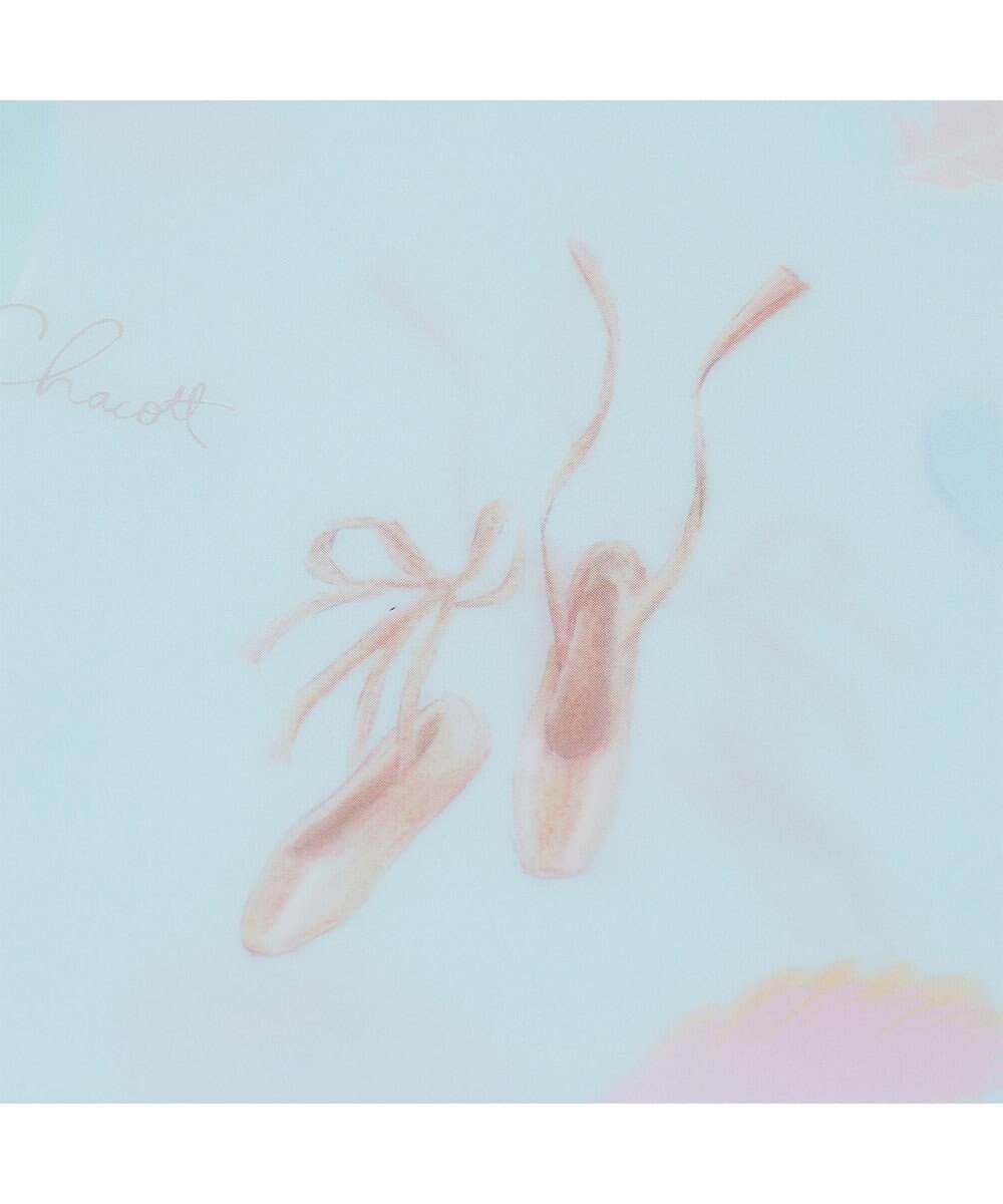 Chacott プリュームクリアファイル 