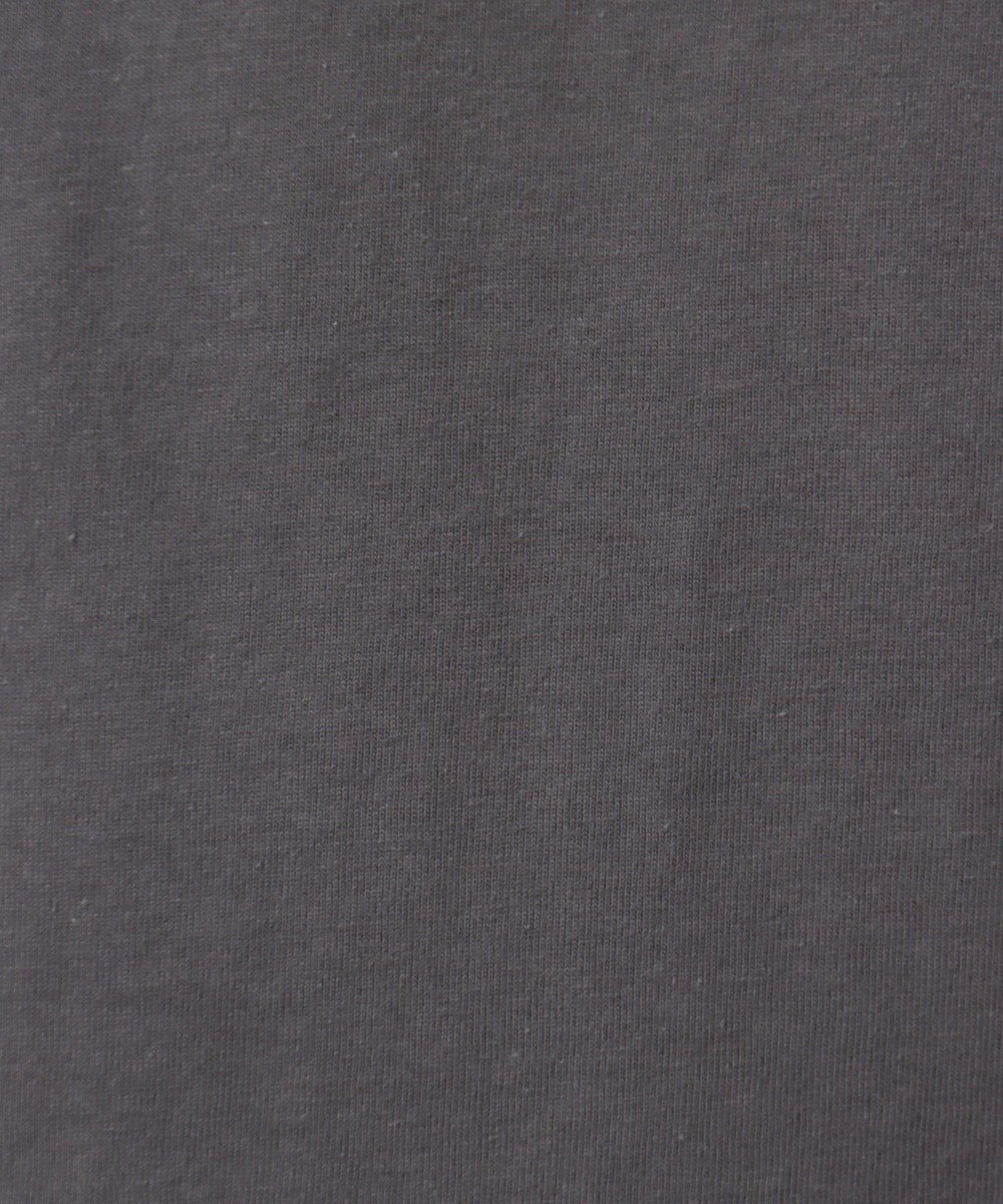 Green Parks ■ＰＥＡＮＵＴＳ　クロスステッチロンＴ 