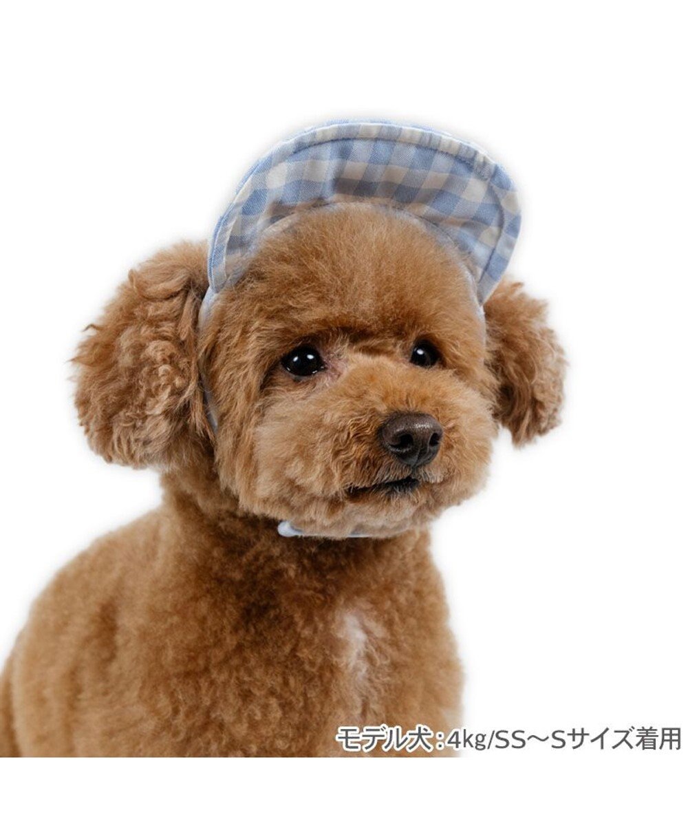 PET PARADISE ディズニー ミッキーマウス なかよし キャップ 《ブルー》 小型犬 