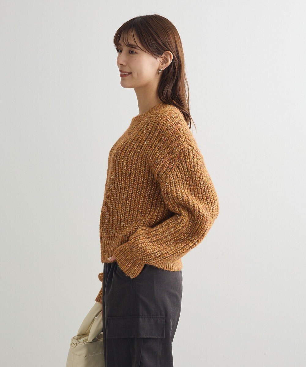 Green Parks ｍｉｘラメショートニットプルオーバー 