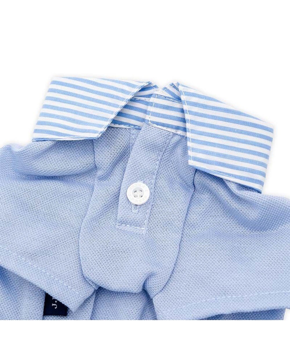 PET PARADISE J.PRESS カノコ スキッパー ポロシャツ 小型犬 