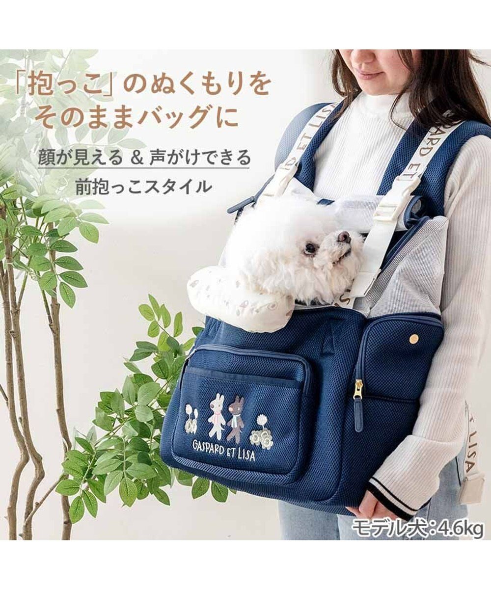 PET PARADISE リサとガスパール 優しい 抱っこハグリュックキャリーバッグ Ｌ 小型犬 