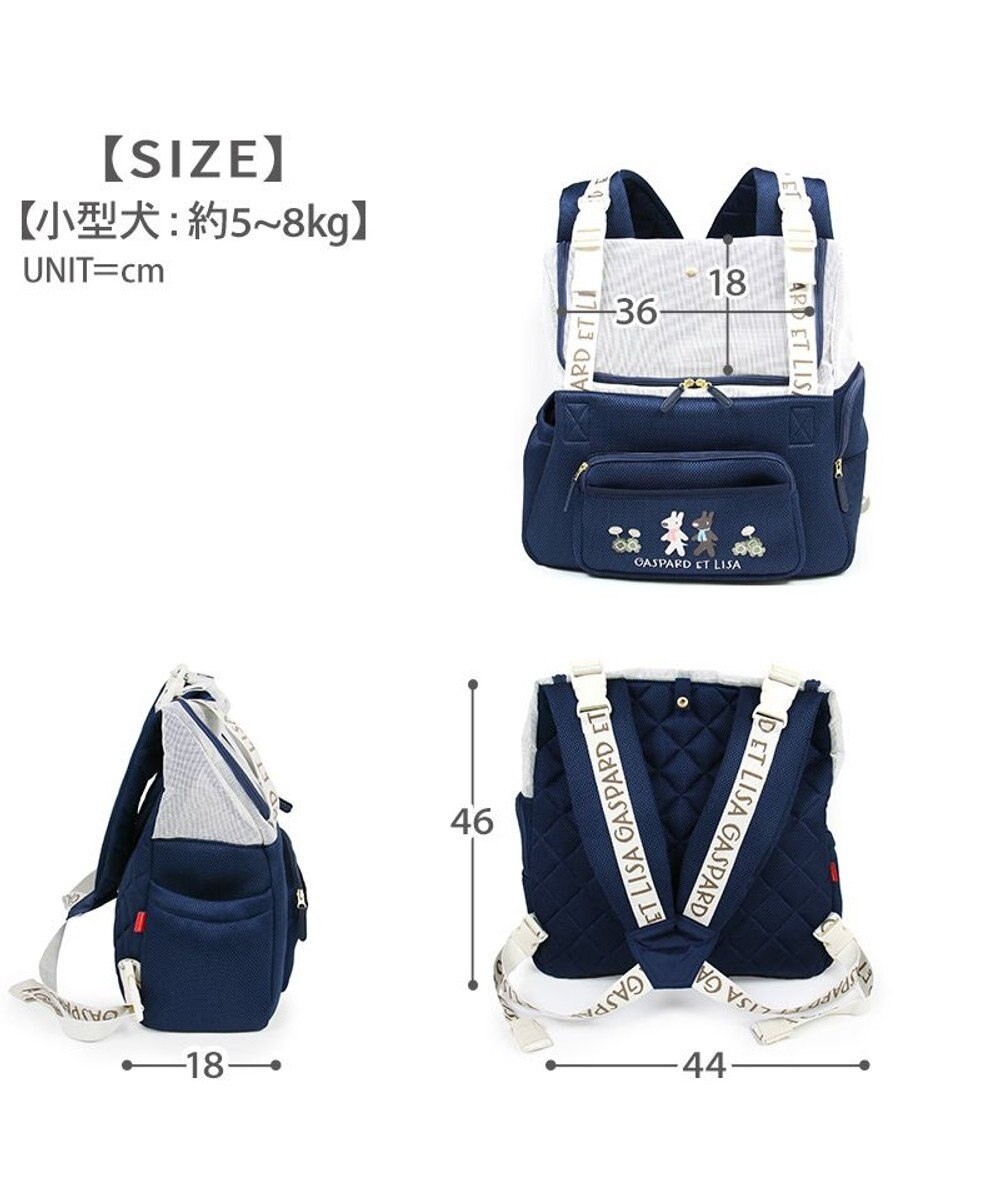 PET PARADISE リサとガスパール 優しい 抱っこハグリュックキャリーバッグ Ｌ 小型犬 