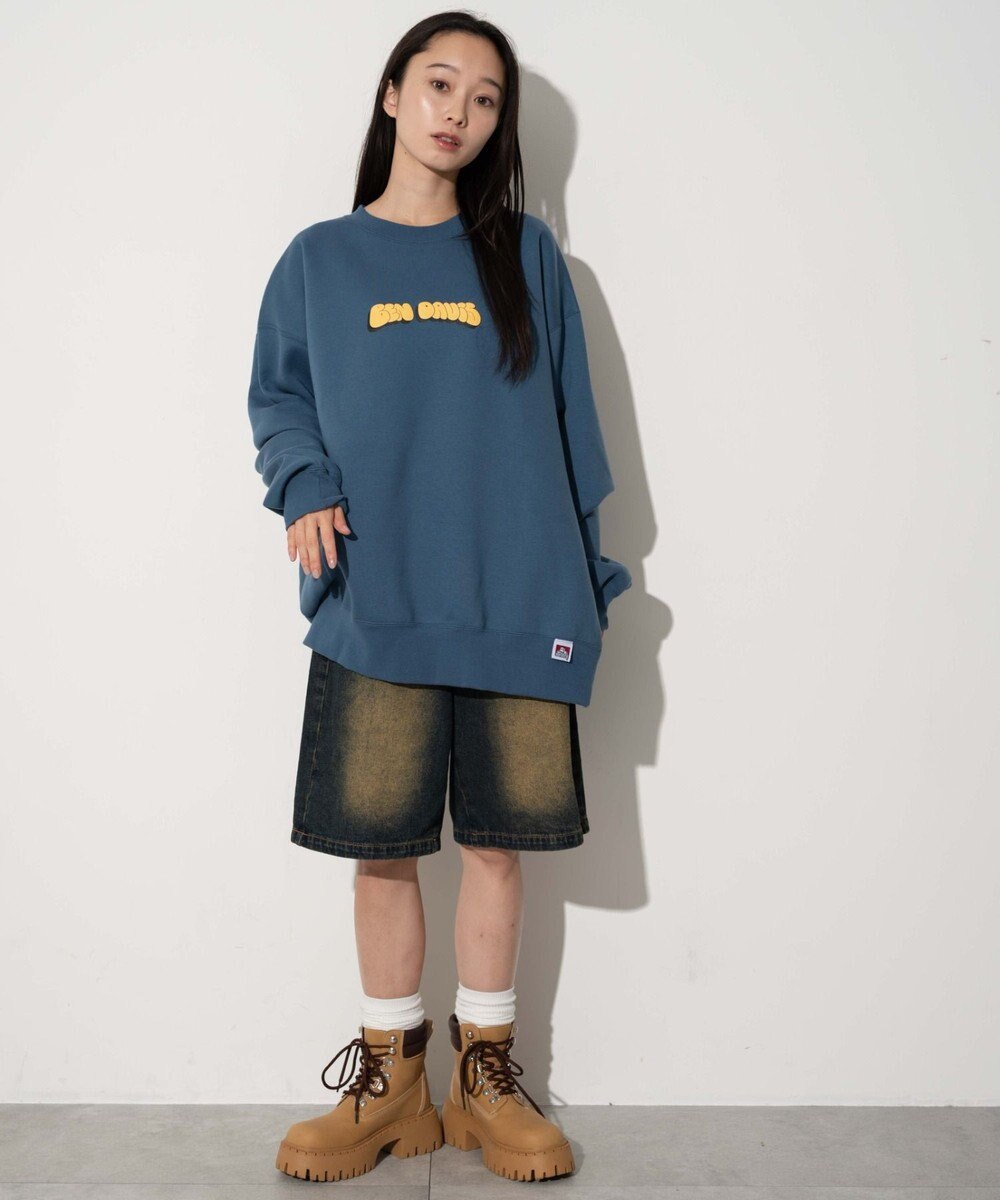 WEGO 【ユニセックス着用ITEM/MLサイズ展開/裏起毛】別注BENDAVISプランプロゴプルオーバー 