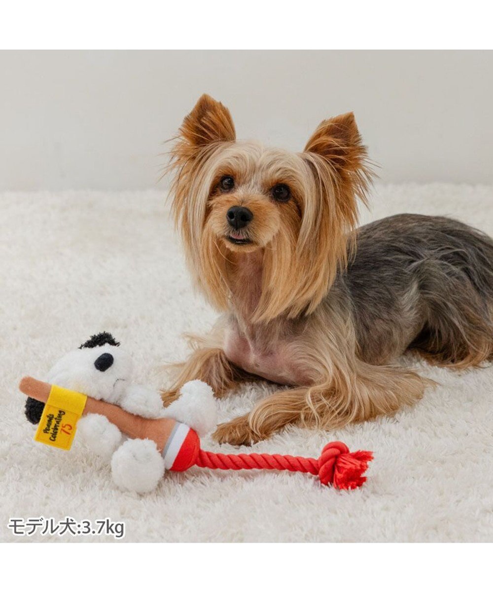 PET PARADISE スヌーピー 75周年 ロープトイ  小型犬 