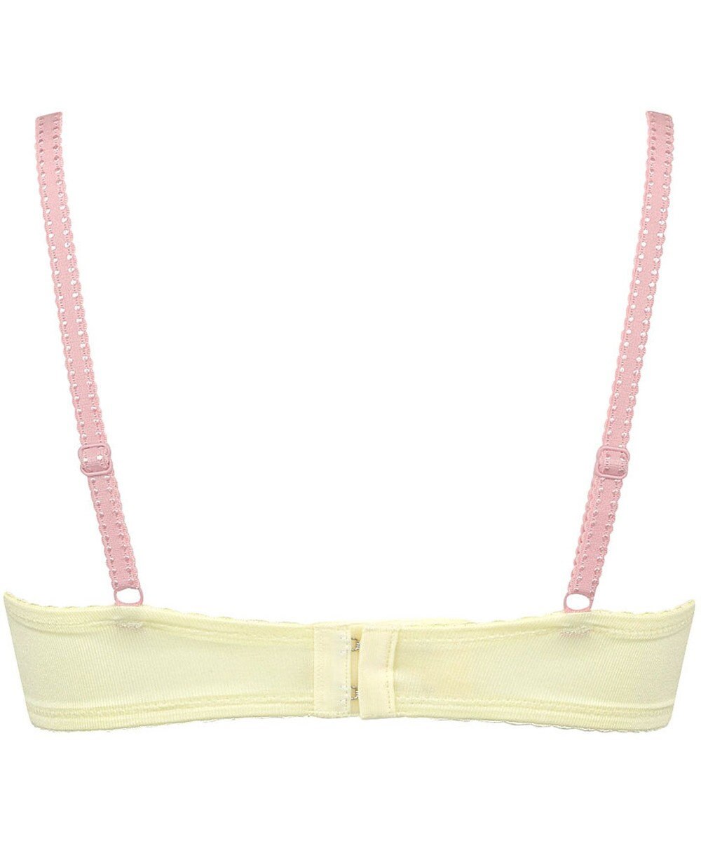 Wing Wing Lesiage　【2720シリーズ】ブラジャー　シアー感のあるラグジュアリーなデザイン　ウイング／ワコール　PB2720 