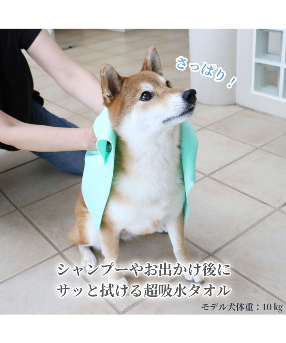 犬 猫 タオル 超吸収 スポンジタオル (38×58cm) PET PARADISE ファッション通販 【公式通販】オンワード・クローゼット