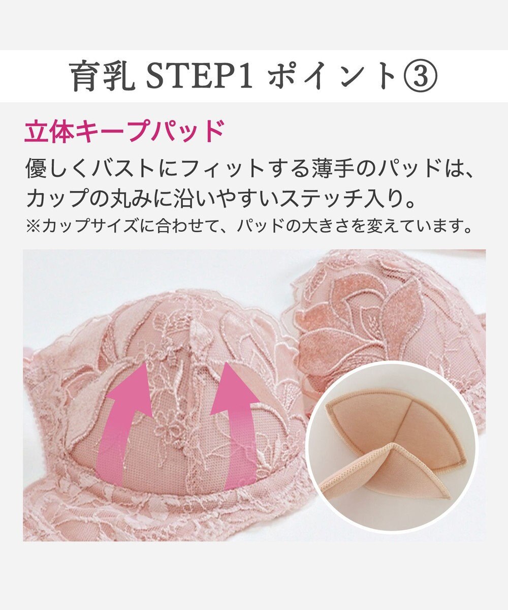 BRADELIS New York 【BRADELIS New York / 育乳補整ブラ・STEP1 集める】ウェンディステップ1ブラ25A1  補正 ブラジャー 