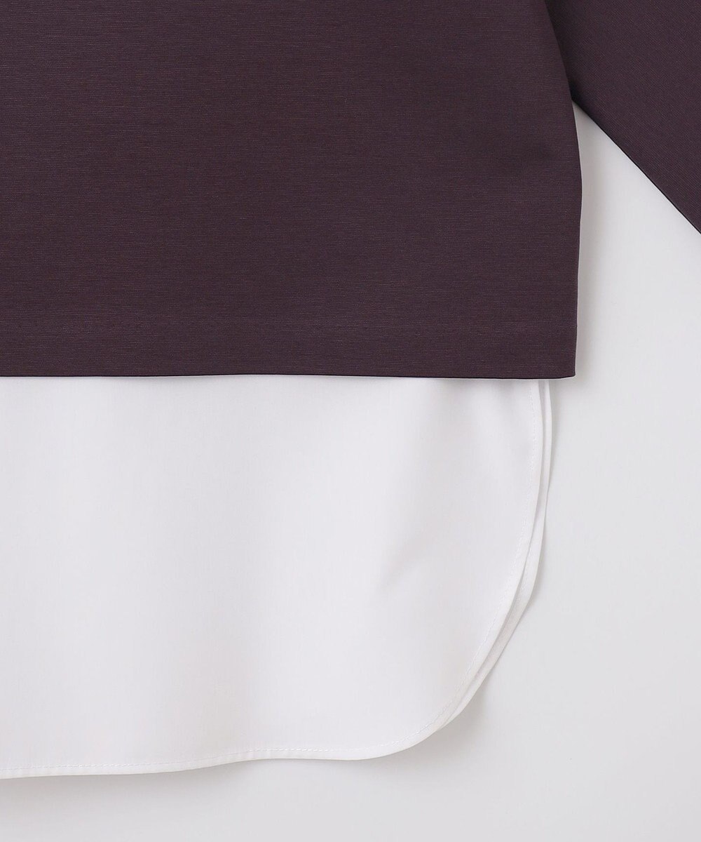 J.PRESS LADIES S TCポンチ ドルマンスリーブ レイヤード カットソー 