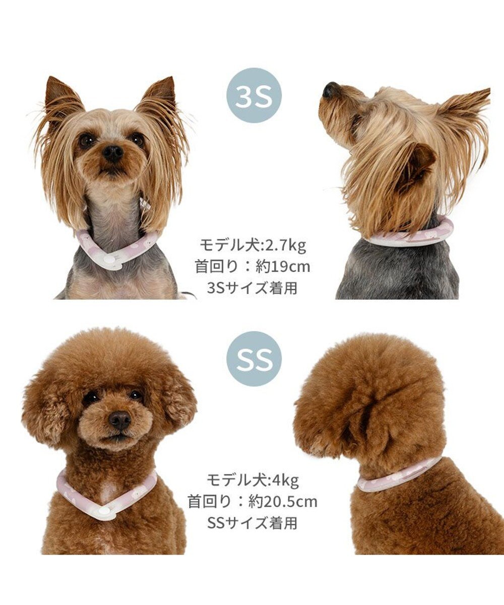 PET PARADISE ペットパラダイス 28℃クールリング 《くま》 ３Ｓ 小型犬 