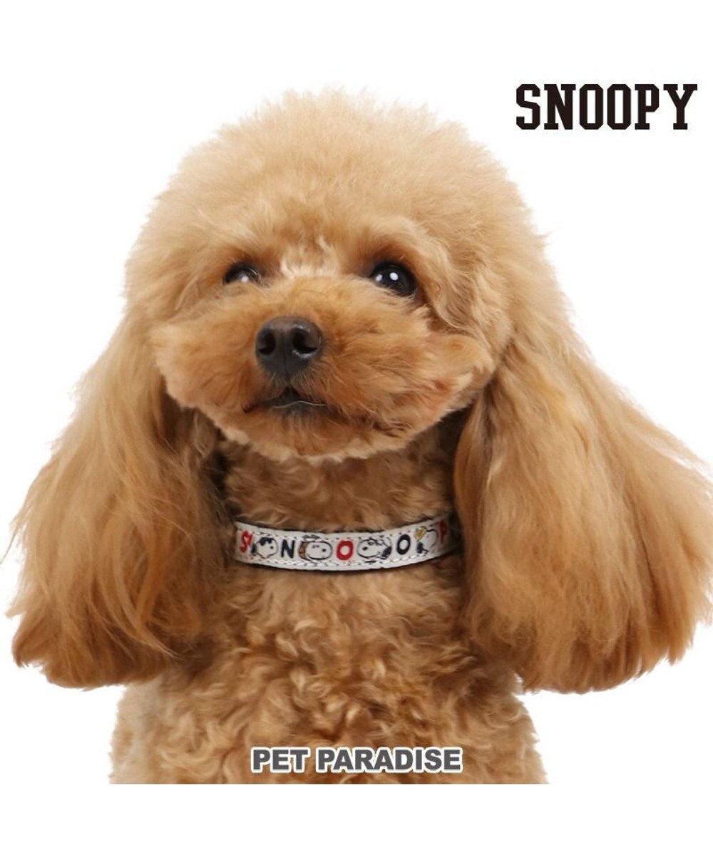 犬用品 ペットグッズ お散歩 ペットパラダイス犬 首輪 スヌーピー ss メニーフェイス グッズ 小型犬 おさんぽ おでかけ お出掛け おしゃれ オシャレ かわいい キャラクター Pet Paradise ファッション通販 公式通販 オンワード クローゼット 犬用品 ペットグッズ お散歩 ペットパラダイス犬 首輪 スヌーピー ss メニーフェイス グッズ 小型犬 おさんぽ おでかけ お出掛け おしゃれ オシャレ かわいい キャラクター Pet Paradise ファッション通販 公式通販 オンワード クローゼット