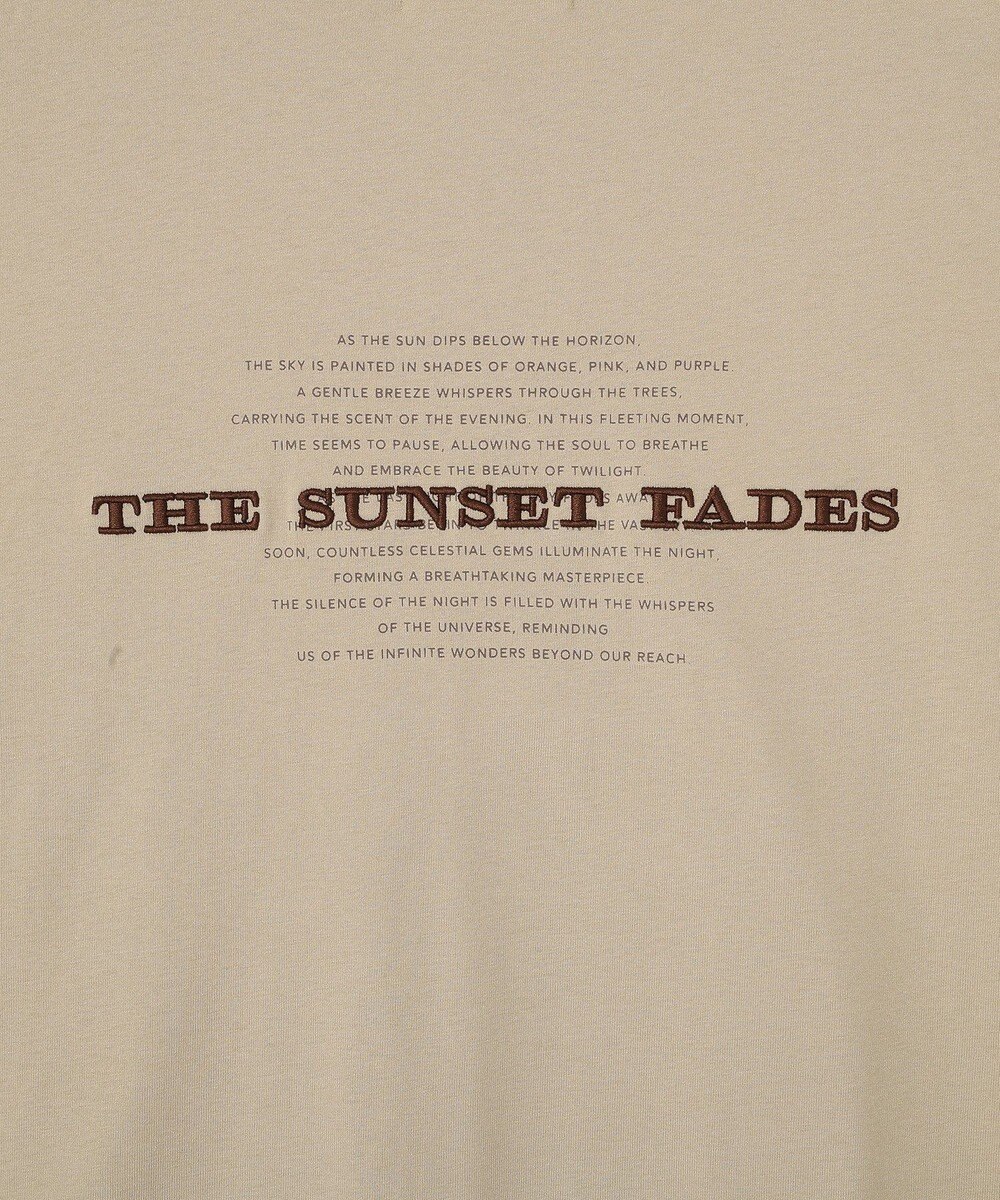 AMERICAN HOLIC STARLY 刺繍ロゴTシャツ 