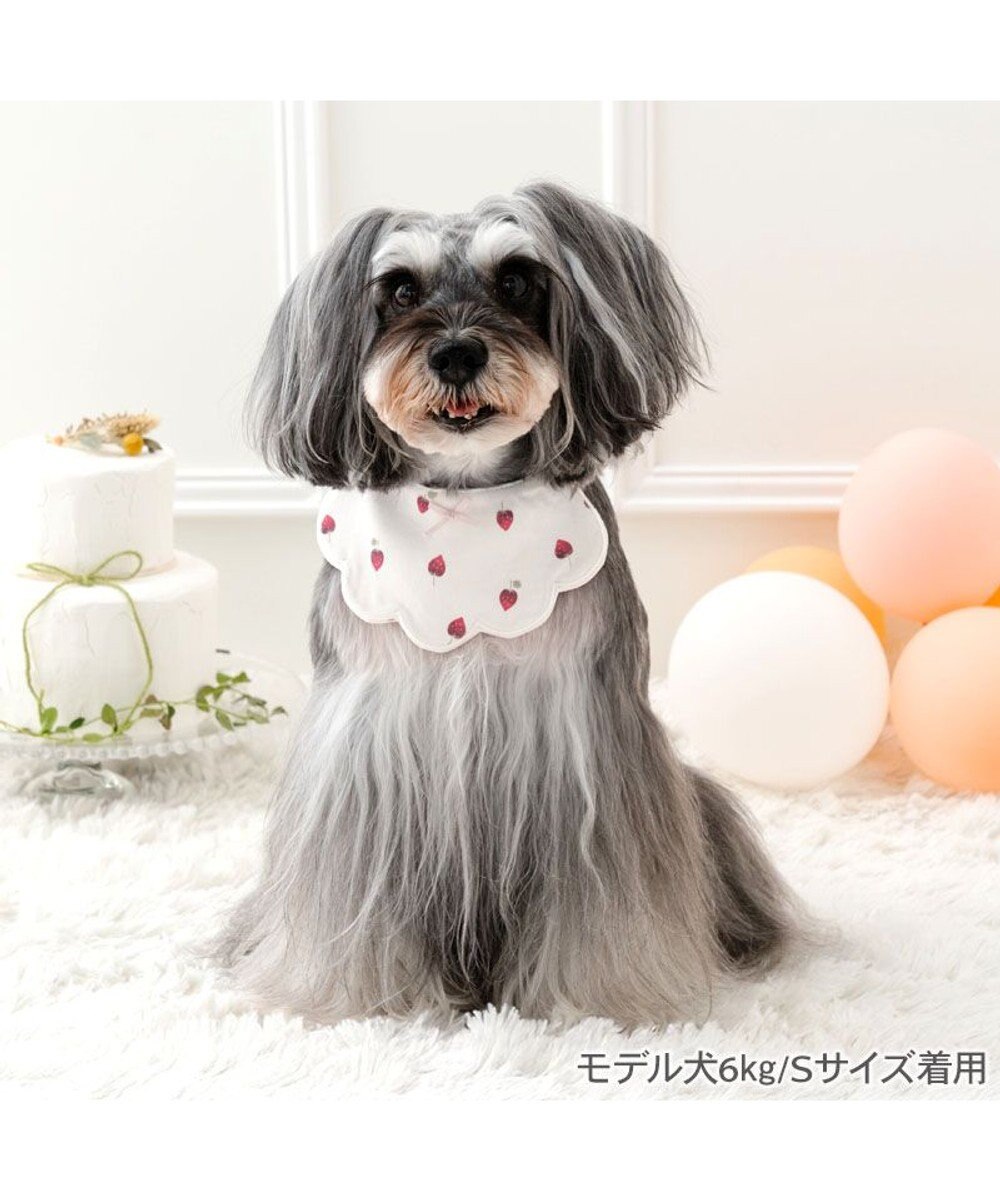 PET PARADISE ペットパラダイス  苺くるくるスタイ  小型犬 