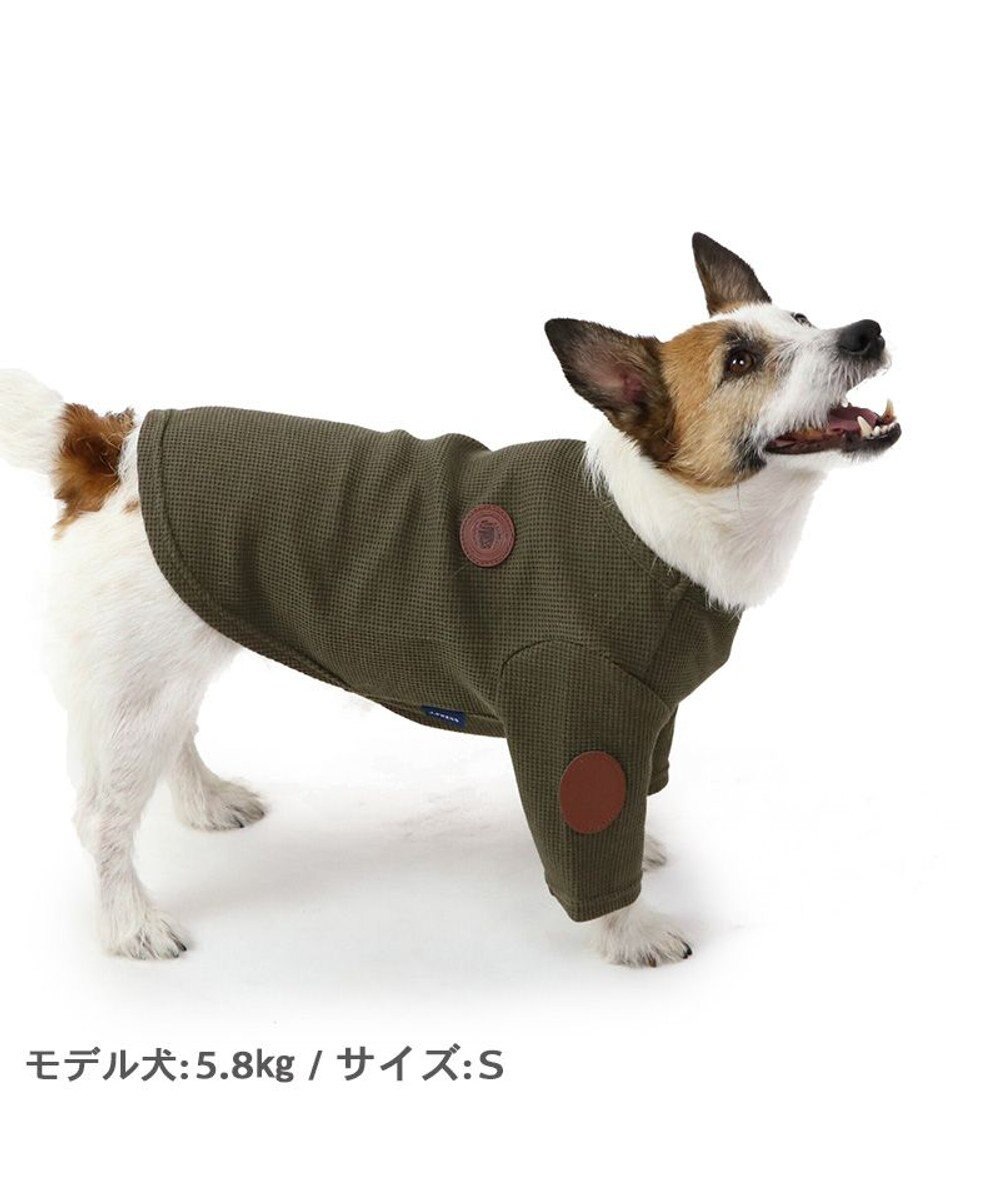 PET PARADISE J.PRESS ワッフル Tシャツ 【小型犬】 
