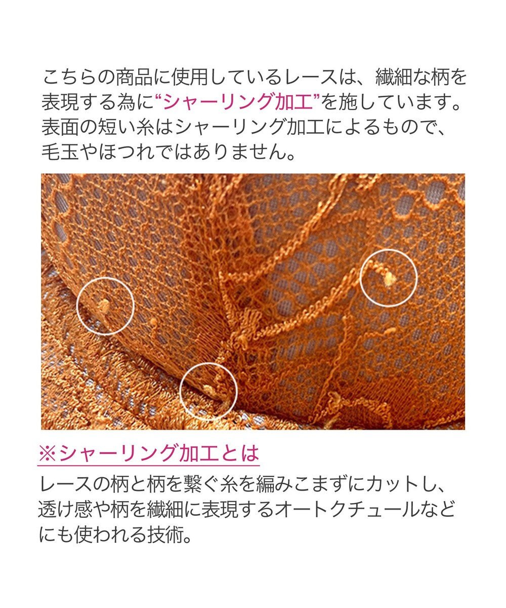 BRADELIS New York 【BRADELIS New York】サポートバックラインブラ23A1 グラマーバストをスッキリさせる補正ブラ 