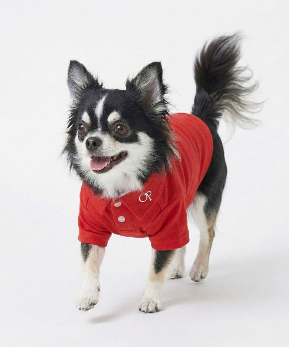 OP／FILA 【Ocean Pacific】ポロシャツ風ドッグウェア ペットウェア 