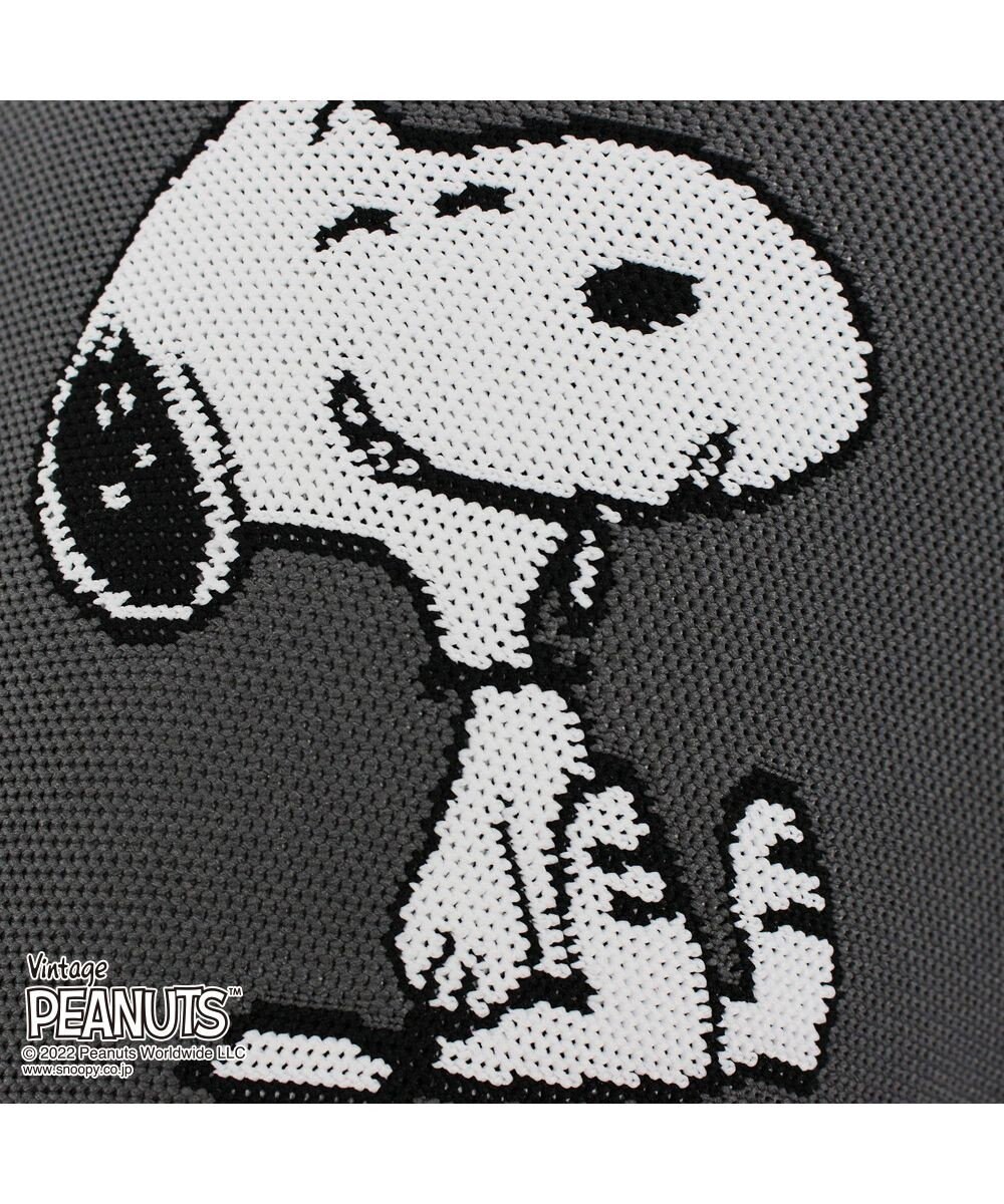 ROOTOTE 8242【スヌーピー：インテリアトート】/ IP.ポーノ.ベビールー.ピーナッツ-6T 