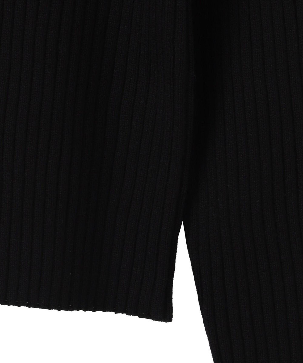 WEGO リブハイネックショートニット 