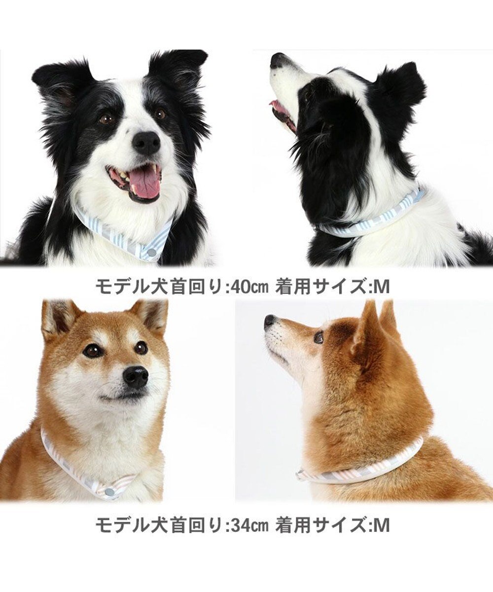 PET PARADISE クールリング 犬 クールネック ひんやり 28℃クールリング 【Ｍ】 リフレクター 水色 ベージュ 反射材付き 