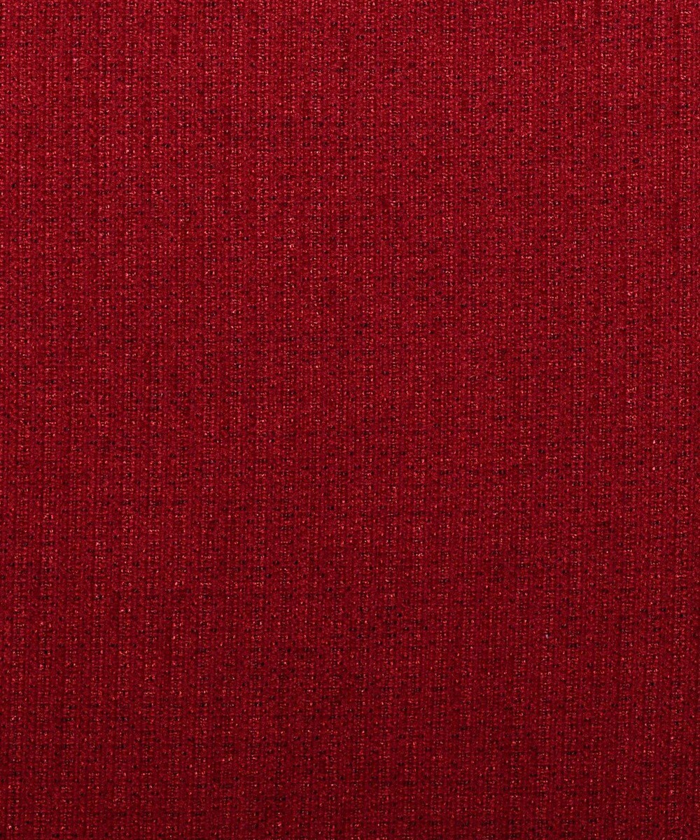 ビーズクッション tetra 高耐久性でペットも安心 tetra LEON（レオン）ビーズクッション　（ミニサイズ） 