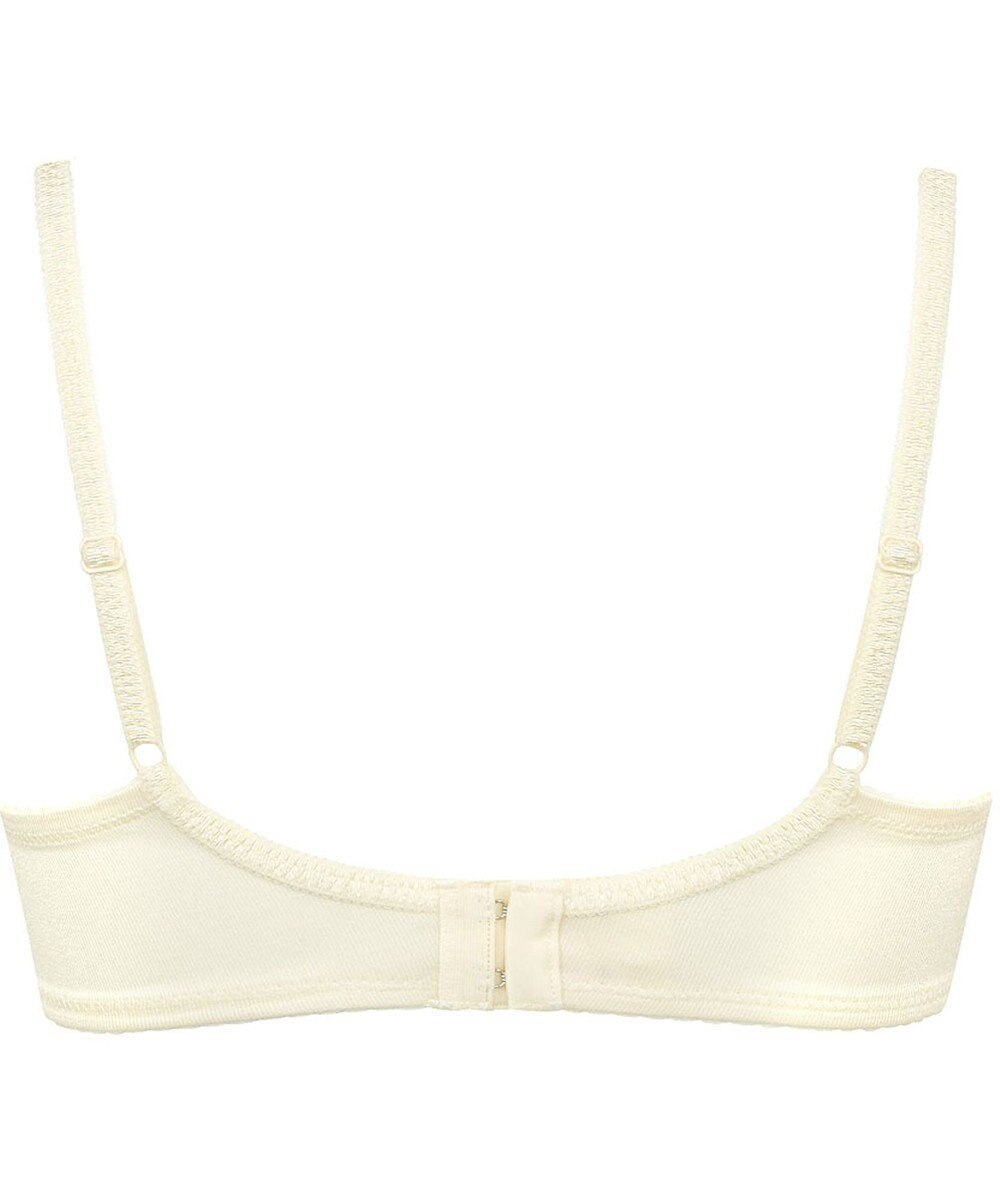 Wing Wing Lesiage 【3000シリーズ】 PB3000 ウイング／ワコール 