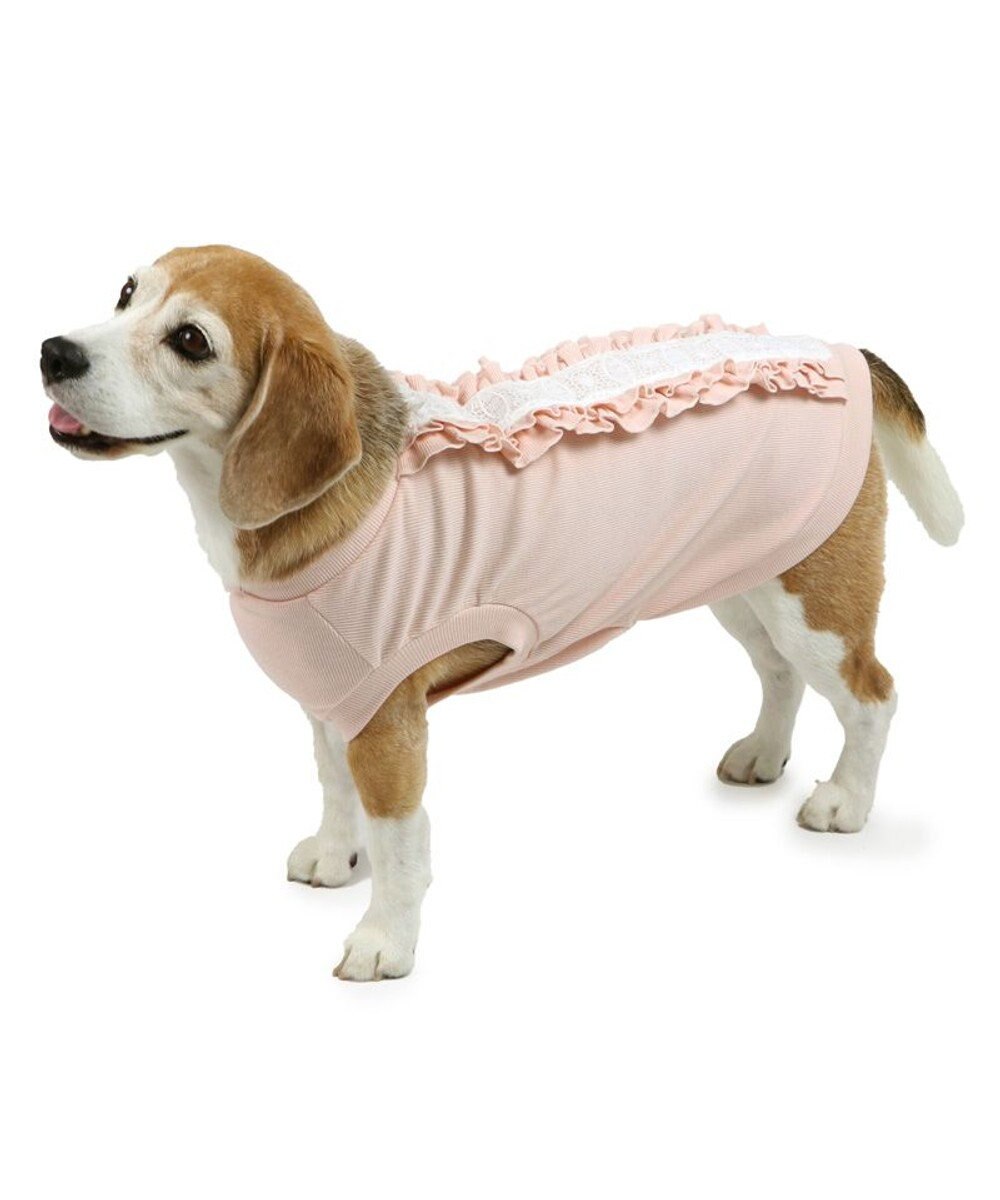 PET PARADISE ペットパラダイス プレミアム ペティヒート  レース Tシャツ 中型犬 