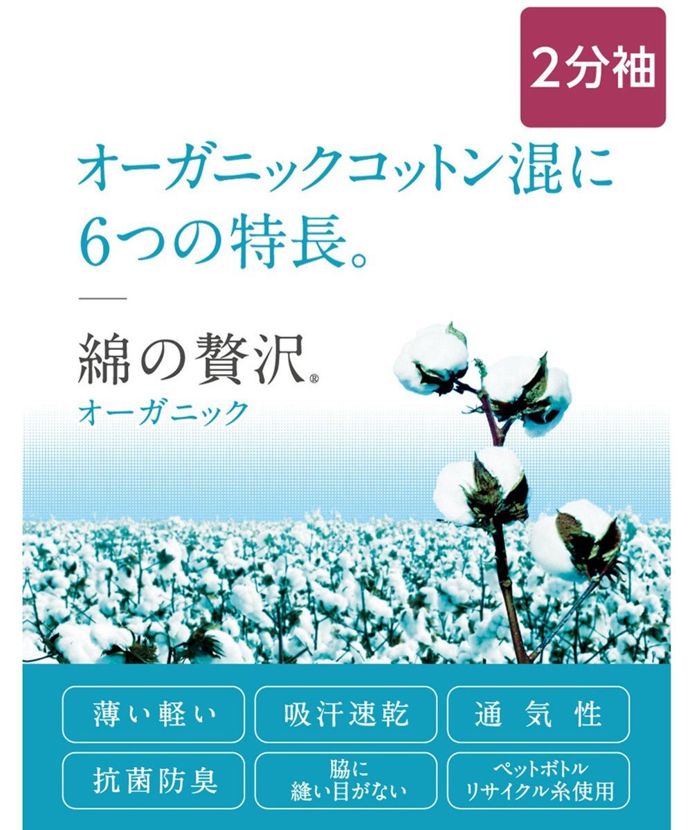Wing 春夏インナー　２枚セット　【綿の贅沢オーガニック】　薄くて軽くてさらっと快適　２分袖　ウイング／ワコール　EL2354 