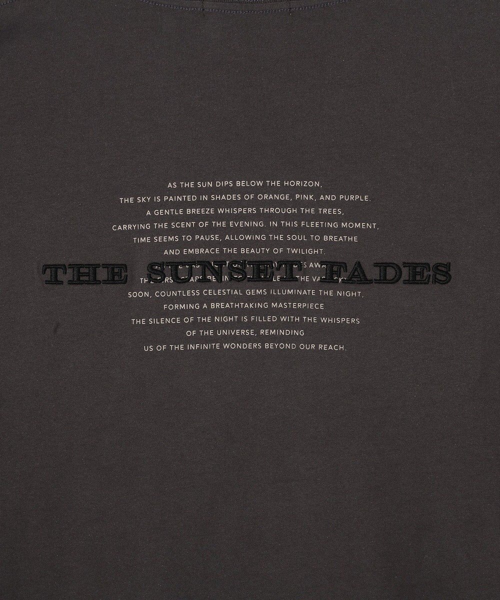 AMERICAN HOLIC STARLY 刺繍ロゴTシャツ 