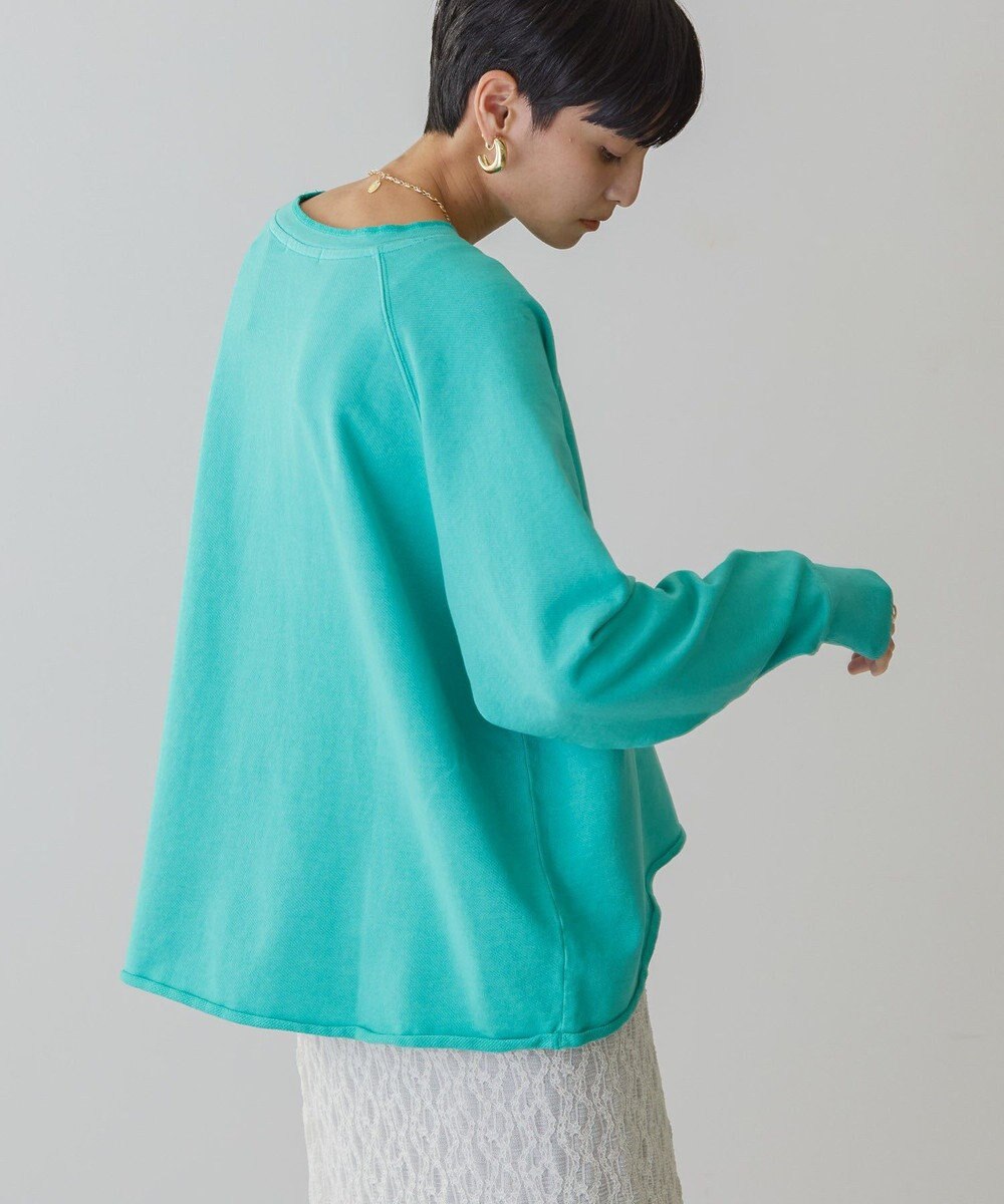 AMERICAN HOLIC ＰＯＲＴＬＡＮＤピグメントスウェット 