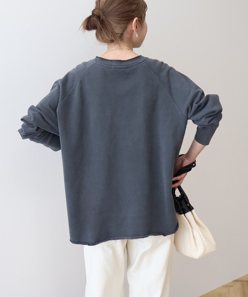 AMERICAN HOLIC ＰＯＲＴＬＡＮＤピグメントスウェット 