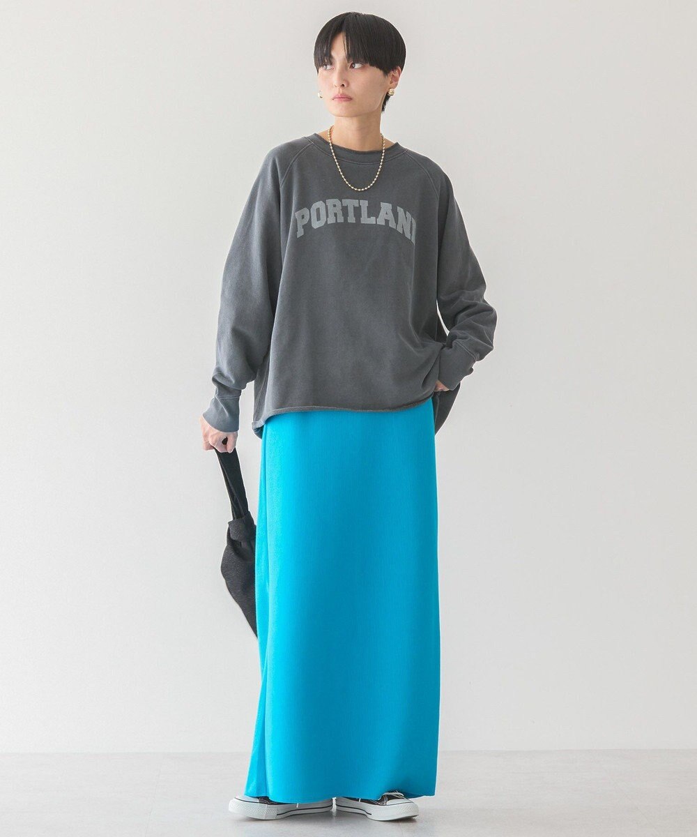 AMERICAN HOLIC ＰＯＲＴＬＡＮＤピグメントスウェット 