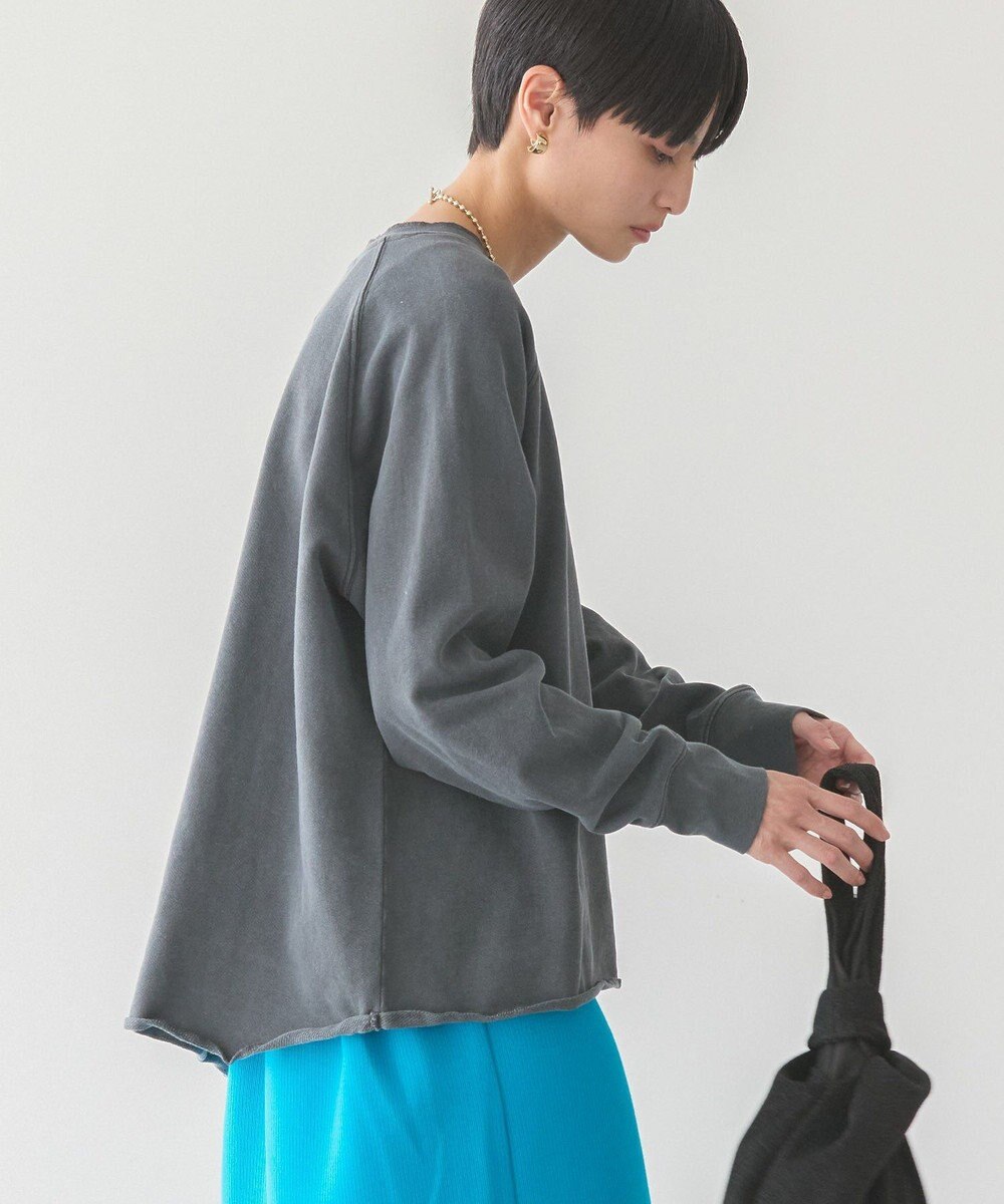 AMERICAN HOLIC ＰＯＲＴＬＡＮＤピグメントスウェット 