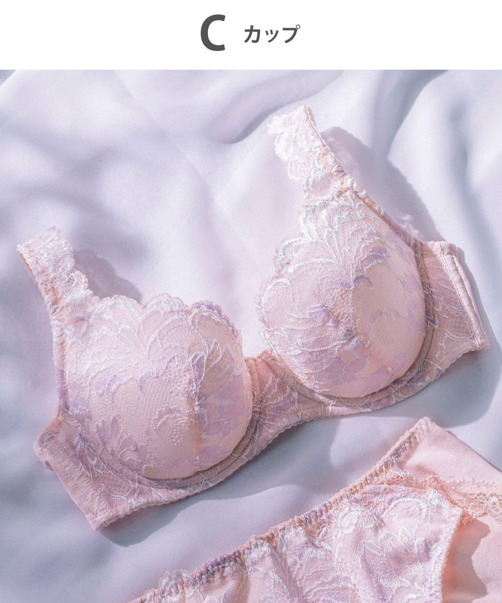 Wing Wing Lesiage 【3000シリーズ】 PB3000 ウイング／ワコール 