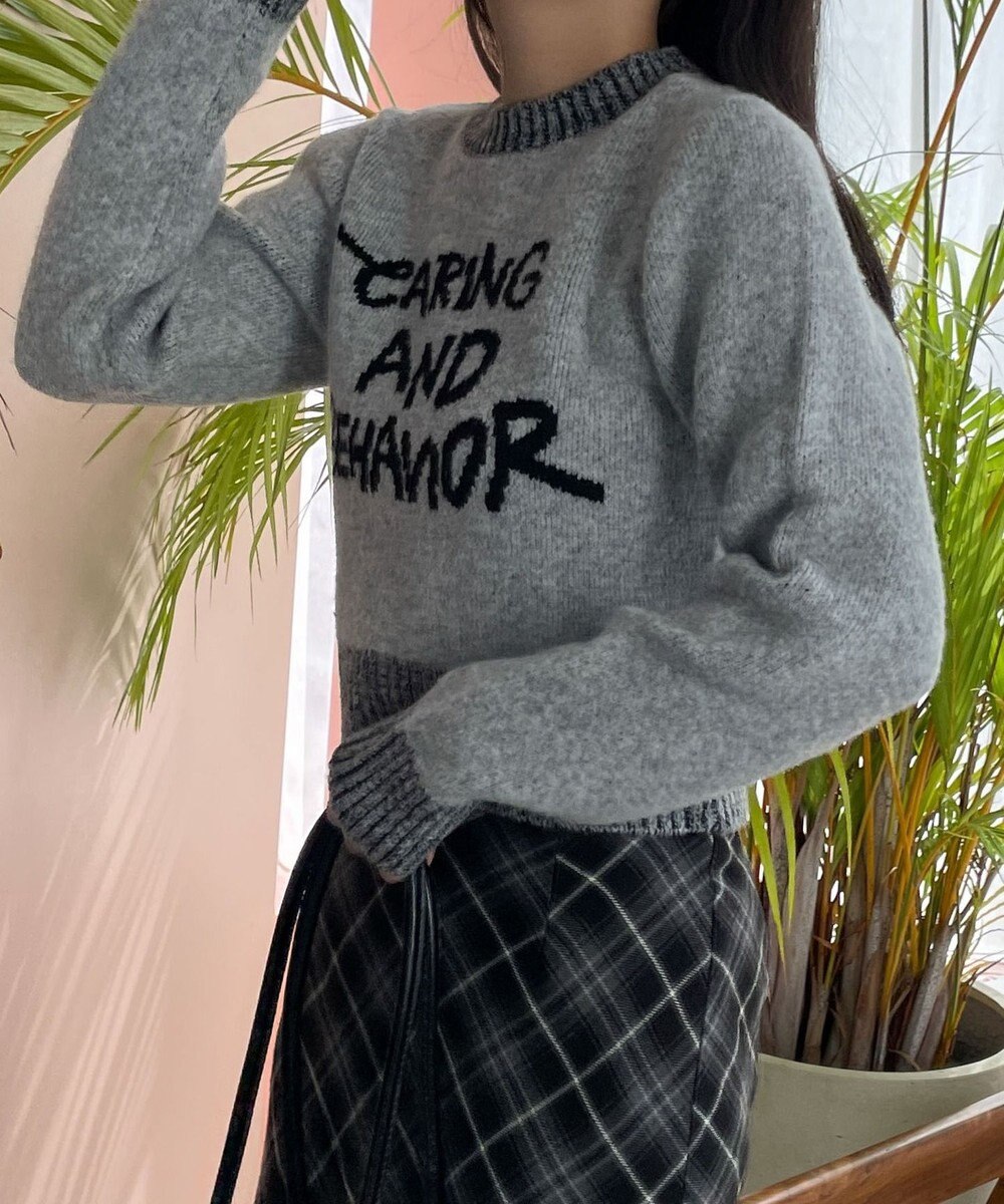 WEGO フラッフィーグラフィックちびニット 