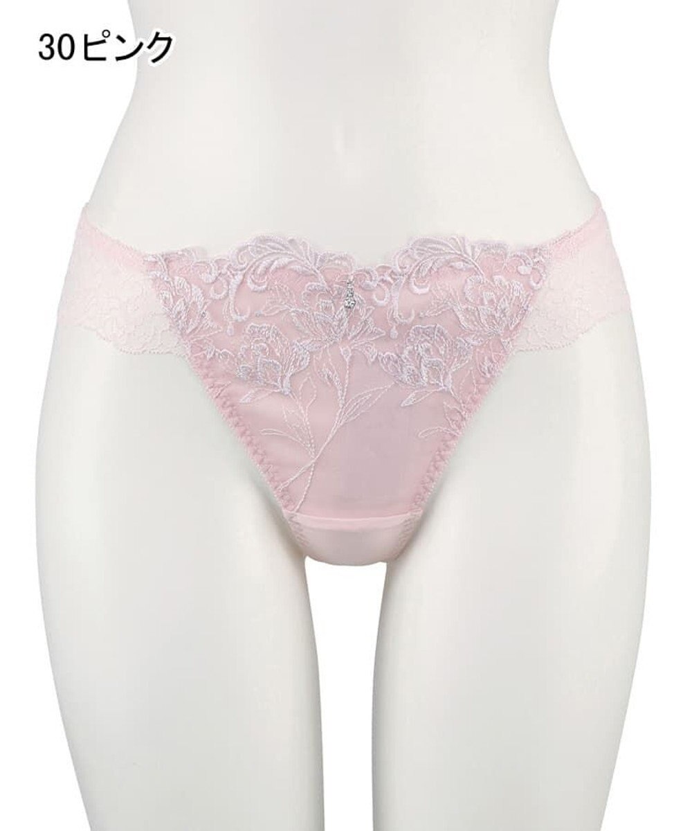 San-ai Resort（三愛水着楽園） エレガントコレクション2310Tショーツ  【northerly】 