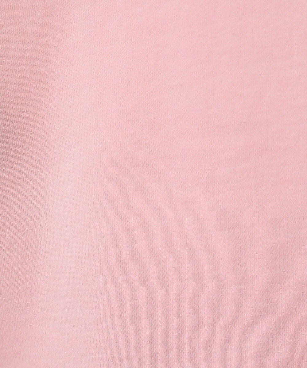 AMERICAN HOLIC ＰＯＲＴＬＡＮＤピグメントスウェット 