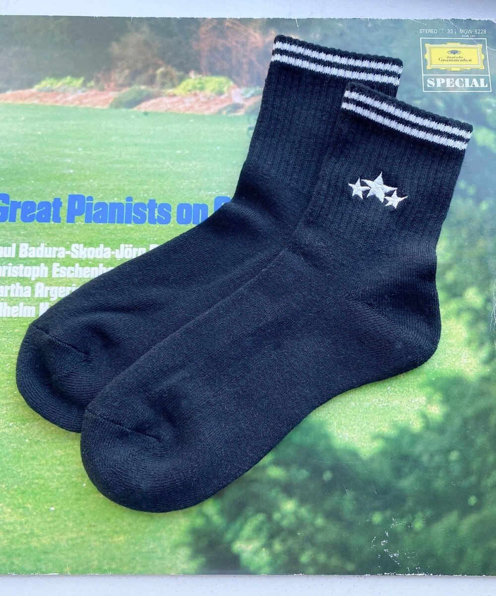 WEGO 底パイルスターラインソックス（14㎝丈） 