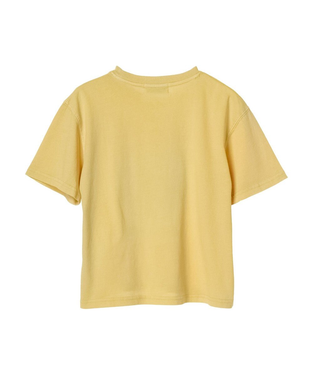 Green Parks ・Ｄｏｕｂｌｅ　Ｆｌａｇｓウ゛ィンテージライクプリントＴ 