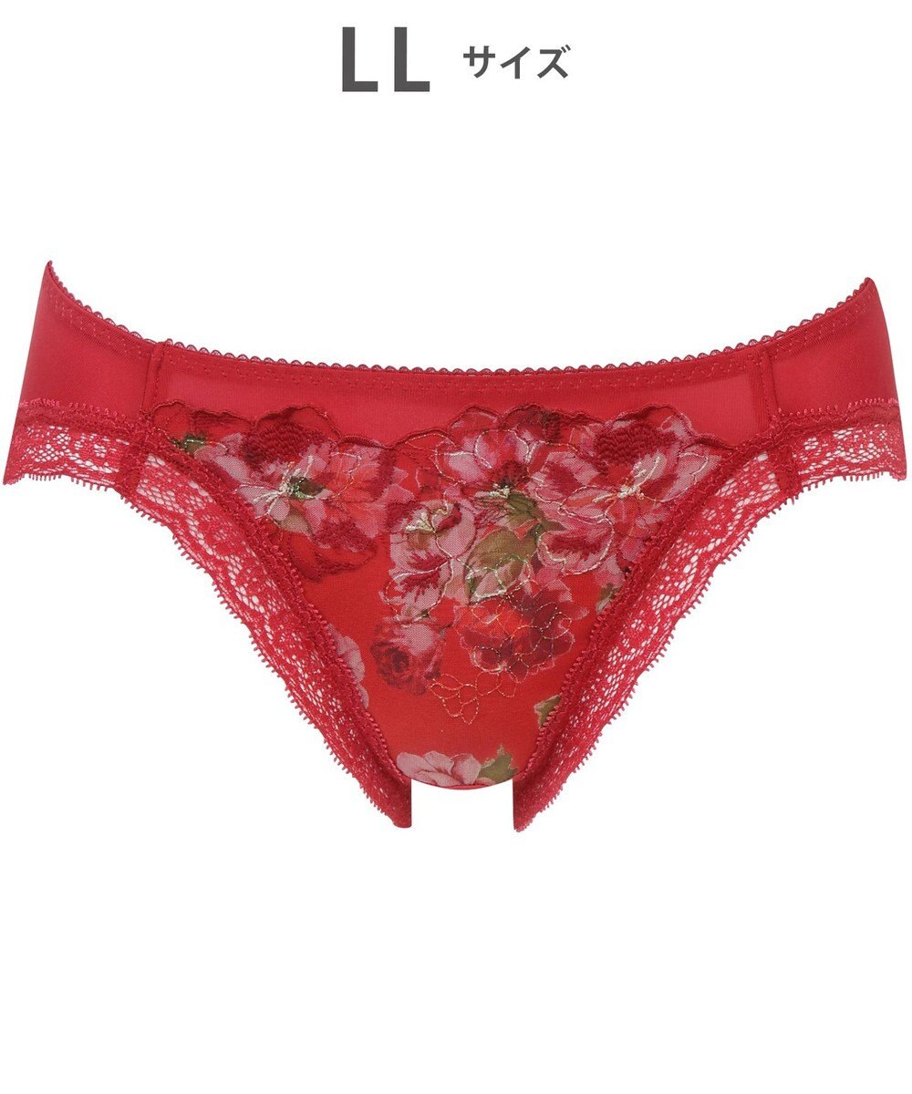 WACOAL ショーツ 【ハグするブラ】BRB488とペア はきこみ丈あさめ バックはナイロンベア天竺素材 レディース PRA188 /ワコール 