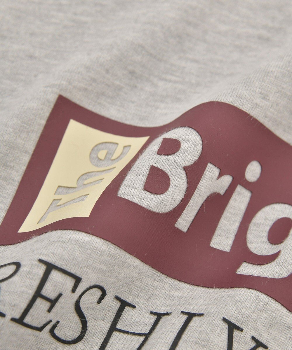 AMERICAN HOLIC カンパニーロゴ風ロングＴシャツ 