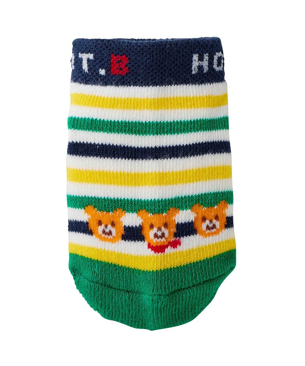 MIKI HOUSE HOT BISCUITS 【9-19cm / 靴下2足セット】 ローカット ソックスパック 