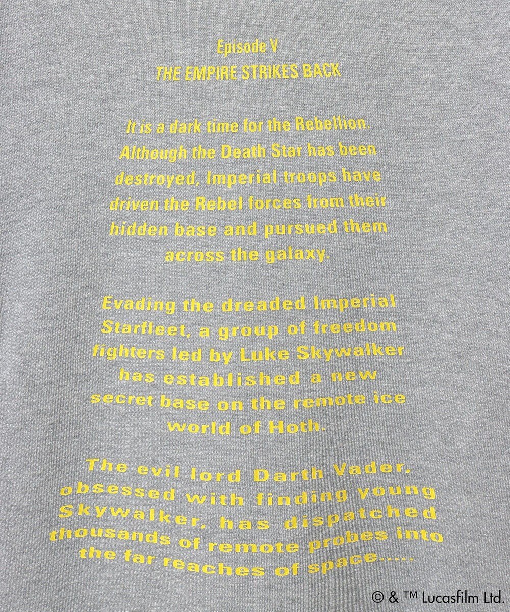 Green Parks ＳＴＡＲ　ＷＡＲＳ／イントロプリントスウェットパーカー 