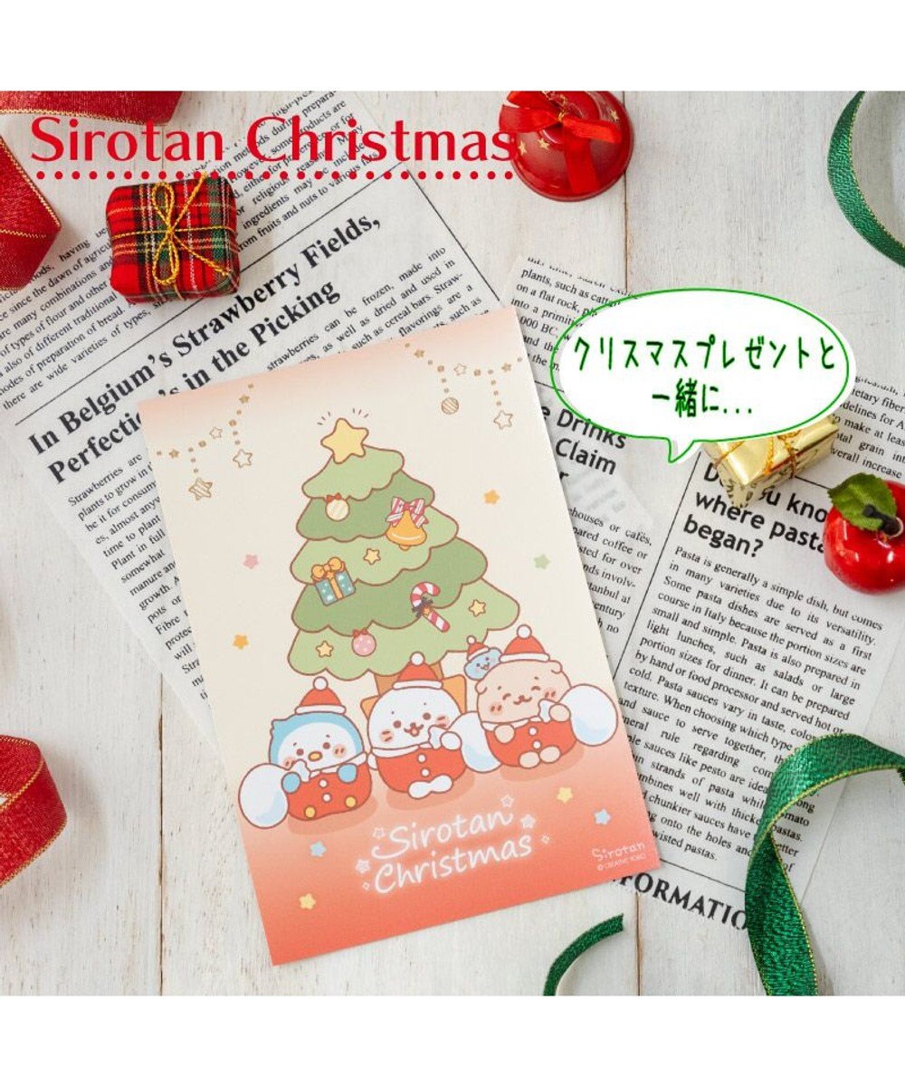 Mother garden しろたん  クリスマスカード 