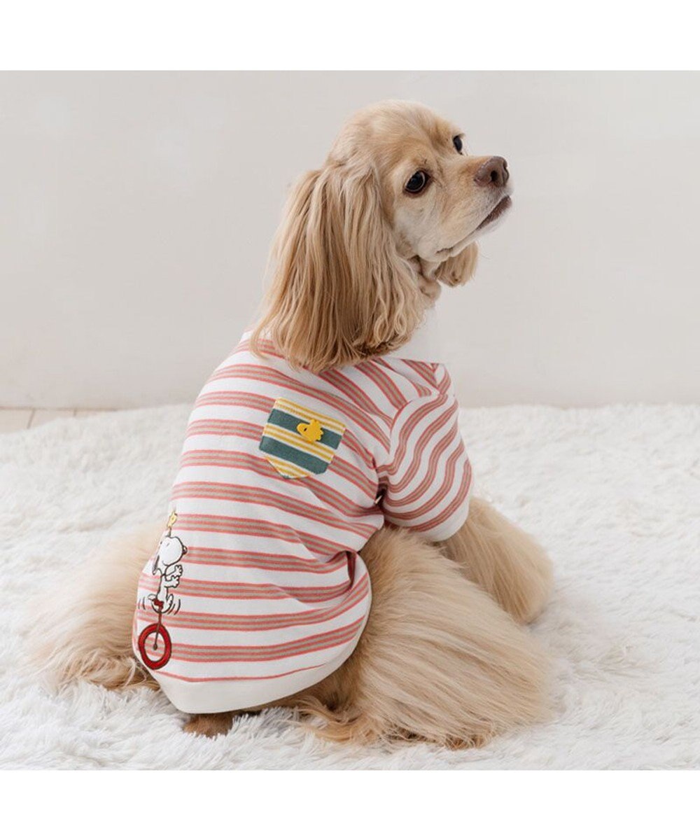PET PARADISE スヌーピー ポロシャツ 《ボーダー》 中型犬 大型犬 