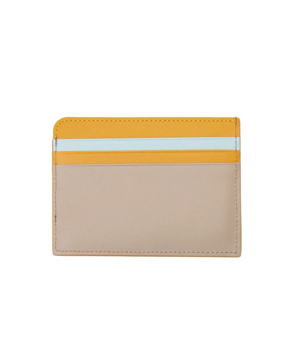 LANVIN en Bleu リュクサンブールカラー フラグメントケース 