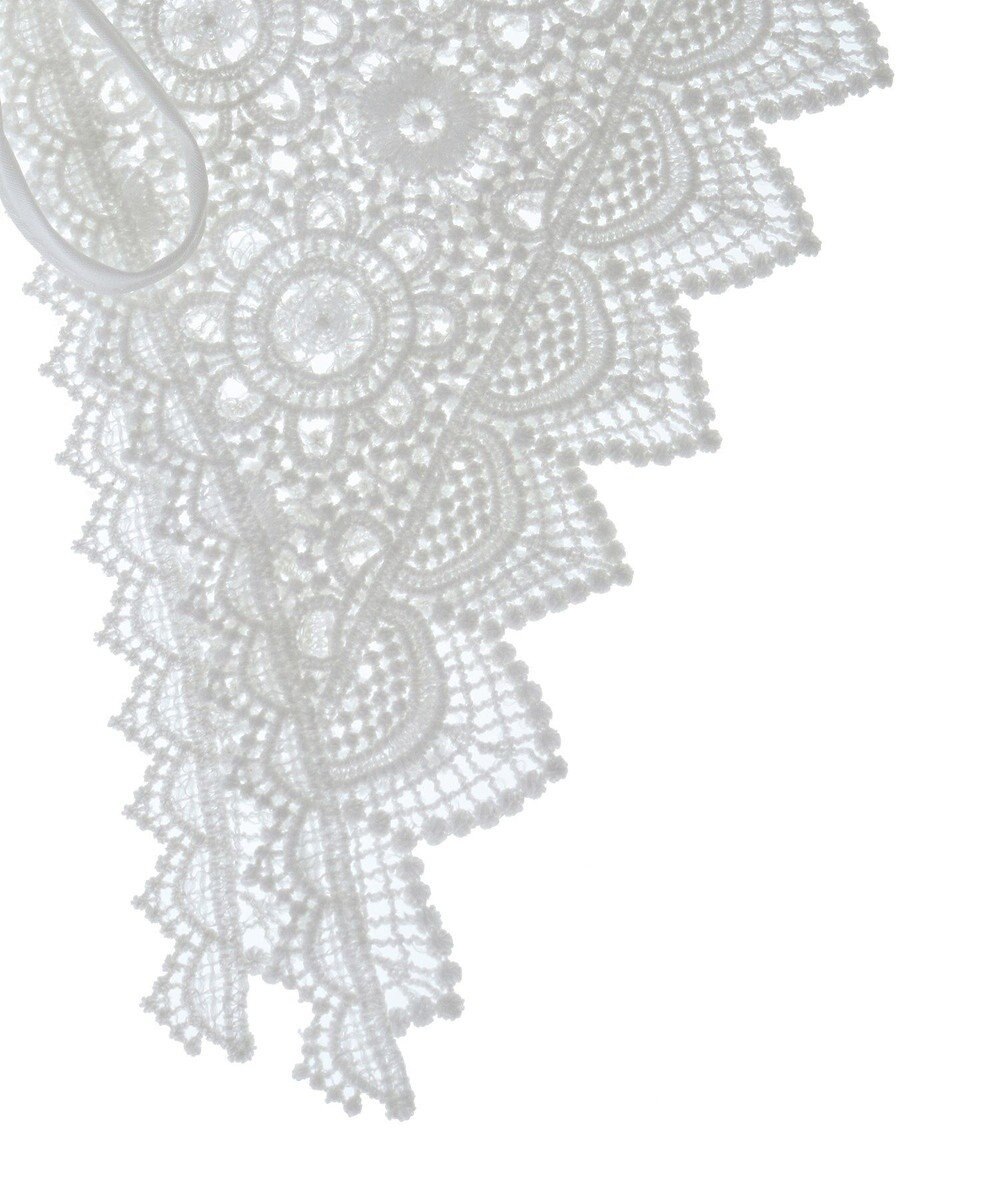 earth music&ecology ケミカルレース付け襟 