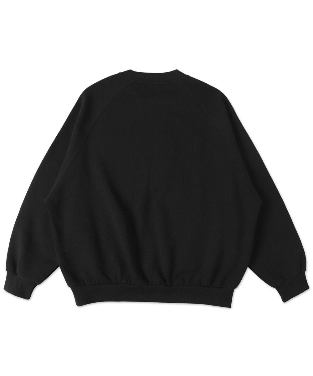 WEGO 【ユニセックス着用ITEM】フォトペーストグラフィックプルオーバー 